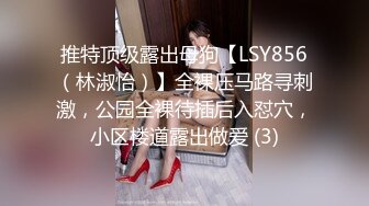 推特顶级露出母狗【LSY856（林淑怡）】全裸压马路寻刺激，公园全裸待插后入怼穴，小区楼道露出做爱 (3)