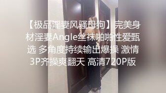 【极品淫妻风骚母狗】完美身材淫妻Angle丝袜啪啪性爱甄选 多角度持续输出爆操 激情3P齐操爽翻天 高清720P版