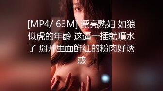 麻豆传媒MKY MKYHS004 催情民宿 新人女优 周宁