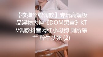 【核弹淫奴调教】专玩高端极品淫物大神《DOM黑宫》KTV调教抖音网红小母狗 厕所爆艹 醉生梦死 (2)