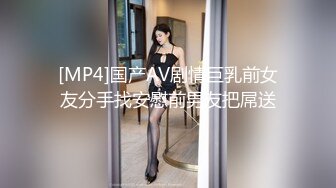 [MP4]国产AV剧情巨乳前女友分手找安慰前男友把屌送