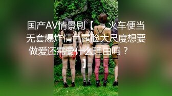 国产麻豆AV MD MD0063 女優面試員 袁庭妮