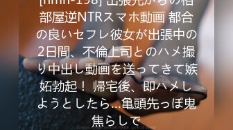 [hmn-198] 出張先からの相部屋逆NTRスマホ動画 都合の良いセフレ彼女が出張中の2日間、不倫上司とのハメ撮り中出し動画を送ってきて嫉妬勃起！ 帰宅後、即ハメしようとしたら…亀頭先っぽ鬼焦らしで