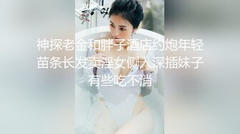 神探老金和胖子酒店约炮年轻苗条长发卖淫女侧入深插妹子有些吃不消