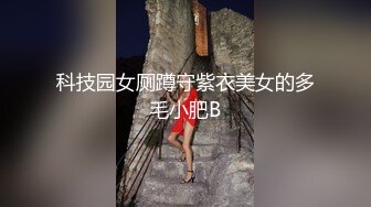 科技园女厕蹲守紫衣美女的多毛小肥B